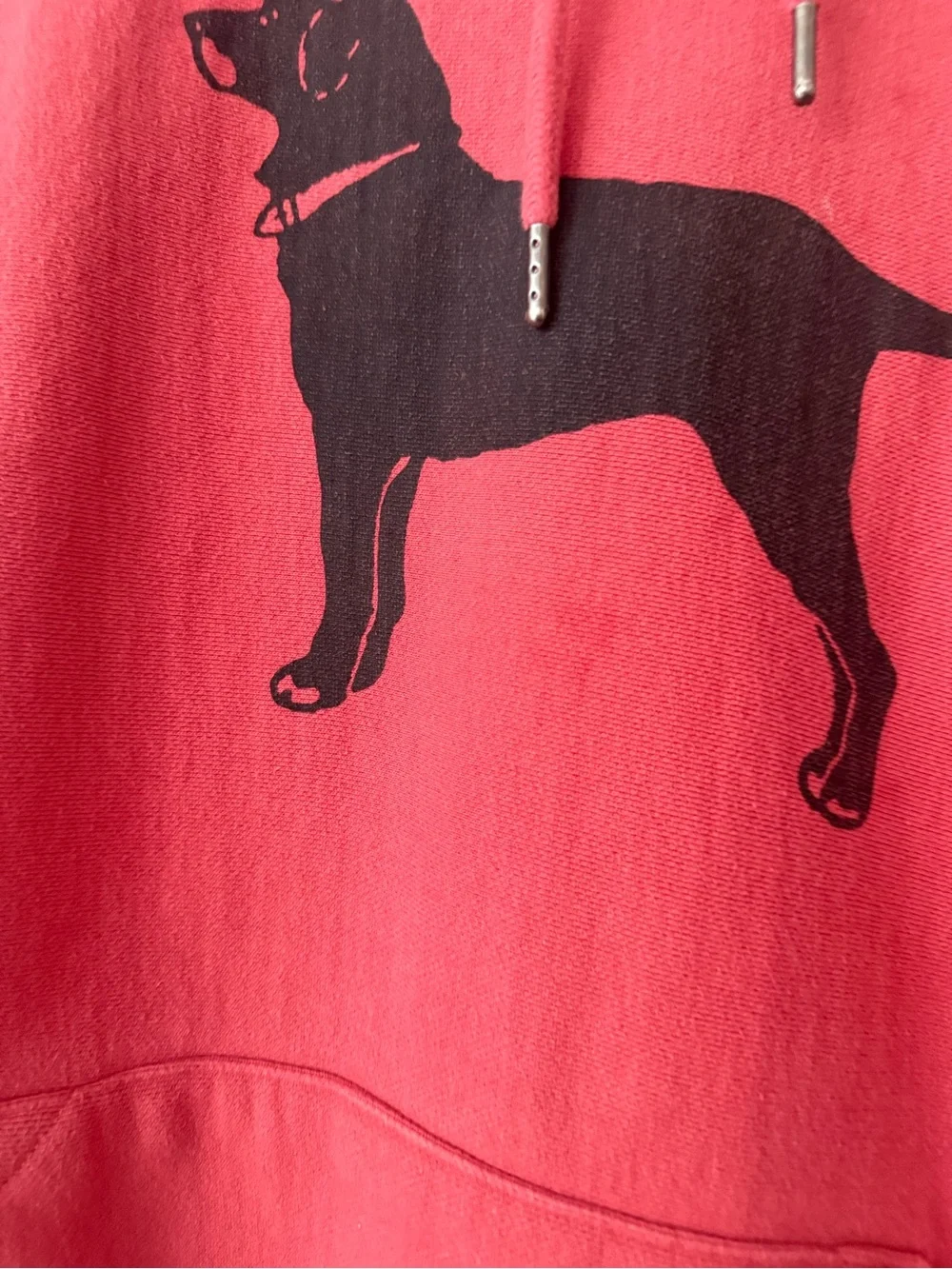 The Black Dog Provincetown Hoodie - Casual Pullover Sweatshirt